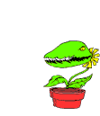 Flytrap.gif (10920 bytes)