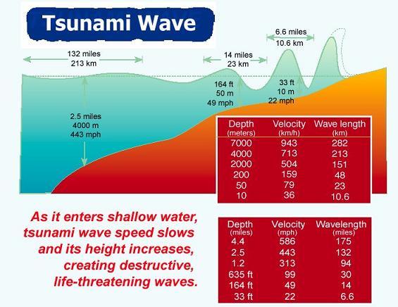 tsunami speed and facts
