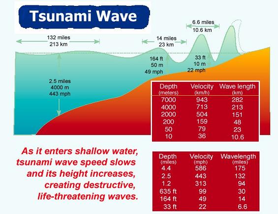 Tsunami Graphs And Charts