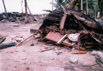tsunami devastation